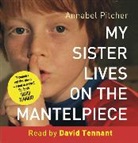 Annabel Pitcher, David Tennant - My Sister Lives on the Mantelpiece (Audiolibro)