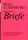Rosa Luxemburg, Institu für Marxismus-Leninismus beim ZK - Gesammelte Briefe, 6 Bde. - 1: 1893 bis 1902