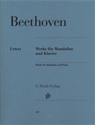 Ludwig van Beethoven, Armin Raab - Ludwig van Beethoven - Werke für Mandoline und Klavier