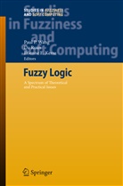 Etienne E Kerre, Etienne E. Kerre, D Ruan, Da Ruan, Paul P. Wang - Fuzzy Logic