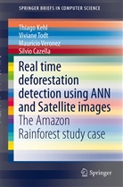 Silvio Cazella, Silvio Cesar Cazella, Silvio Cesar Cazella, Thiago Kehl, Thiago Nunes Kehl, Thiag Nunes Kehl... - Real time deforestation detection using ANN and Satellite images