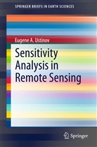 Eugene A Ustinov, Eugene A. Ustinov - Sensitivity Analysis in Remote Sensing