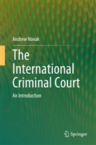 Andrew Novak - The International Criminal Court