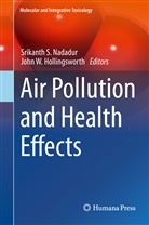 John W. Hollingsworth, Srikanth S Nadadur, Srikanth S. Nadadur, Srikant S Nadadur, Srikanth S Nadadur, W Hollingsworth... - Air Pollution and Health Effects