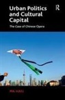 Ma Haili, Haili Ma, Dr. Haili Ma, Haili Ma - Urban Politics and Cultural Capital