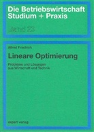 Alfred Friedrich - Lineare Optimierung