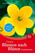 Eckart Pott - Unsere Blumen nach Blüten bestimmen