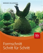 Werner Hellendahl - Formschnitt Schritt für Schritt