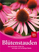 Ulrike Leyhe - Blütenstauden