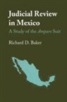 Richard D. Baker - Judicial Review in Mexico