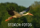 Janto Trappe - Storch-Fotos (Tischaufsteller DIN A5 quer)
