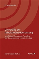 Felix Schörghofer - Grenzfälle der Arbeitskräfteüberlassung (f. Österreich)