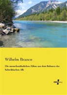 Wilhelm Branco - Die menschenähnlichen Zähne aus dem Bohnerz der Schwäbischen Alb