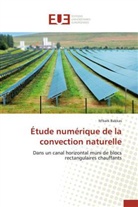 M'bark Bakkas, Bakkas-m - Etude numerique de la convection
