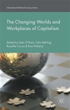 Felix Behling, Sean Behling O Riain, Felix Behling, Rossella Ciccia, Eoi Flaherty, Eoin Flaherty... - Changing Worlds and Workplaces of Capitalism