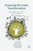 J. Bohnke, Judith Bohnke, J. Böhnke, Judit Böhnke, Judith Böhnke, V. Eidt... - Financing the Green Transformation