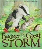 Suzanne Chiew, Caroline Pedler, Caroline Pedler - Badger and the Great Storm