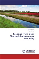 Fateme Jafari, Fatemeh Jafari, Farzin Salmasi - Seepage from Open Channels by Numerical Modeling