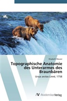 Elisabeth Mauser - Topographische Anatomie des Unterarmes des Braunbären