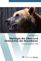 Patrick Wagmeister - Myologie des Ober- und Unterarmes des Braunbären