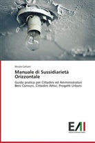 Nicola Cattani - Manuale di Sussidiarietà Orizzontale