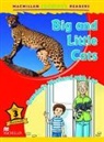 Coleen Degnan-Veness - Macmillan Children''s Readers Big and Little Cats Level 3