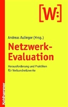 Andreas Aulinger - Netzwerk-Evaluation