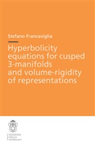 Stefano Francaviglia - Hyperbolicity equations for cusped 3-manifolds and volume-rigidity of representations