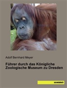 Adolf Bernhard Meyer - Führer durch das Königliche Zoologische Museum zu Dresden