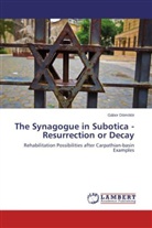 Gábor Dömötör - The Synagogue in Subotica - Resurrection or Decay