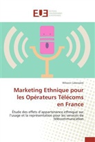 Wilsonn Labossière, Labossiere-w - Marketing ethnique pour les