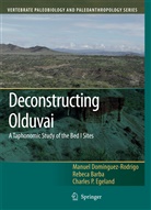 Rebec Barba, Rebeca Barba, Manue Domínguez-Rodrigo, Manuel Domínguez-Rodrigo, C Egeland, Charles P. Egeland - Deconstructing Olduvai: A Taphonomic Study of the Bed I Sites