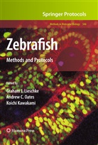 Andre C Oates, Andrew C Oates, Koichi Kawakami, Graham J. Lieschke, Andrew C. Oates - Zebrafish