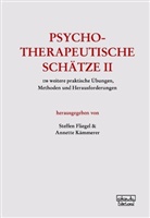 Steffe Fliegel, Steffen Fliegel, Kämmerer, Kämmerer, Annette Kämmerer - Psychotherapeutische Schätze