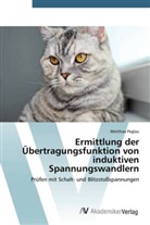 Matthias Peglau - Ermittlung der Übertragungsfunktion von induktiven Spannungswandlern