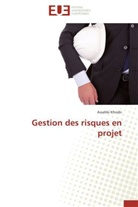 Assahbi Khssibi, Khssibi-a - Gestion des risques en projet