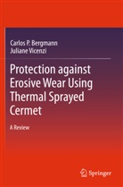 Carlos Bergmann, Carlos P Bergmann, Carlos P. Bergmann, Juliane Vicenzi - Protection against Erosive Wear using Thermal Sprayed Cermet