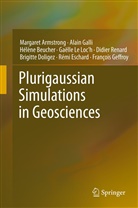 Margare Armstrong, Margaret Armstrong, Hélène Beucher, Hélène e Beucher, Brigitte Doligez, Rémi Eschard... - Plurigaussian Simulations in Geosciences