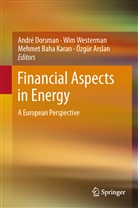 Özgür Arslan, Mehmet Baha Karan et al, André Dorsman, Mehmet Baha Karan, Wi Westerman, Wim Westerman - Financial Aspects in Energy