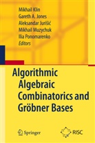 Garet A Jones, Gareth A Jones, Gareth A. Jones, Aleksandar Jurisic, Aleksandar Jurisic et al, Mikhail Klin... - Algorithmic Algebraic Combinatorics and Gröbner Bases