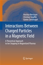 Hrachya Nersisyan, Institut Radiophysics, Institute Radiophysics, Christia Toepffer, Christian Toepffer, Zwickn... - Interactions Between Charged Particles in a Magnetic Field