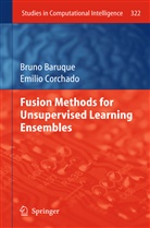 Bruno Baruque - Fusion Methods for Unsupervised Learning Ensembles