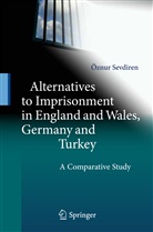 Öznur Sevdiren - Alternatives to Imprisonment in England and Wales, Germany and Turkey