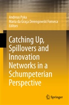 da Graça Derengowski Fonseca, da Graça Derengowski Fonseca, Maria Da Graça Derengowski Fonseca, Andrea Pyka, Andreas Pyka - Catching Up, Spillovers and Innovation Networks in a Schumpeterian Perspective