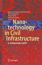 Nii O. Attoh-Okine, Bjor Birgisson, Bjorn Birgisson, Kasthurirangan Gopalakrishnan, Peter Taylor, Peter Taylor et al - Nanotechnology in Civil Infrastructure