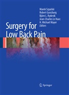 Rober Gunzburg, Robert Gunzburg, Björn L Rydevik et al, Jean-Charles Le Huec, H. Michael Mayer, Michael Mayer... - Surgery for Low Back Pain