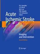 Joshu A Hirsch, Joshua A Hirsch, R. Gilberto González, Michael H Lev et al, Joshua A. Hirsch, Michael H. Lev... - Acute Ischemic Stroke