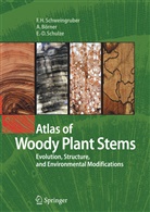 Annet Börner, Annett Börner, Schulze, Ernst-Detlef Schulze, Fritz Han Schweingruber, Fritz Hans Schweingruber - Atlas of Woody Plant Stems