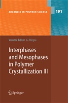 Giusepp Allegra, Giuseppe Allegra - Interphases and Mesophases in Polymer Crystallization III