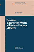 Stefan Roth - Precision Electroweak Physics at Electron-Positron Colliders
